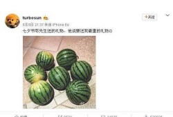 网络大瓜