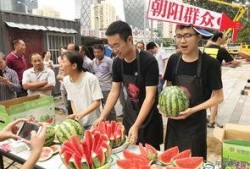 朝阳吃瓜群众