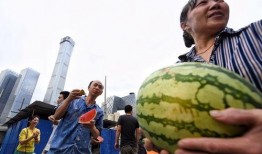朝阳吃瓜群众
